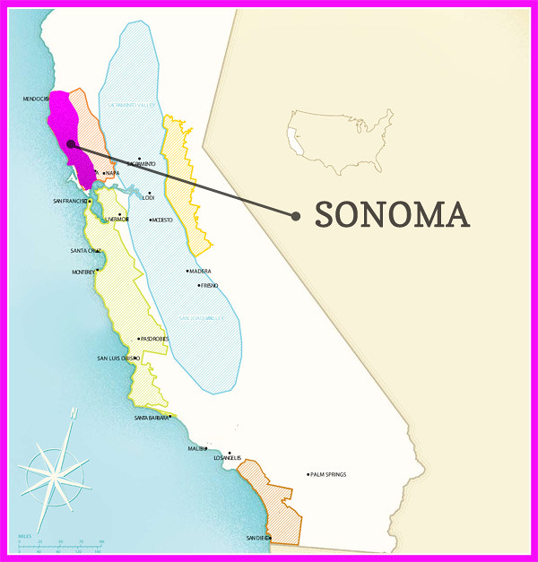 Vung-Sonoma-California-My